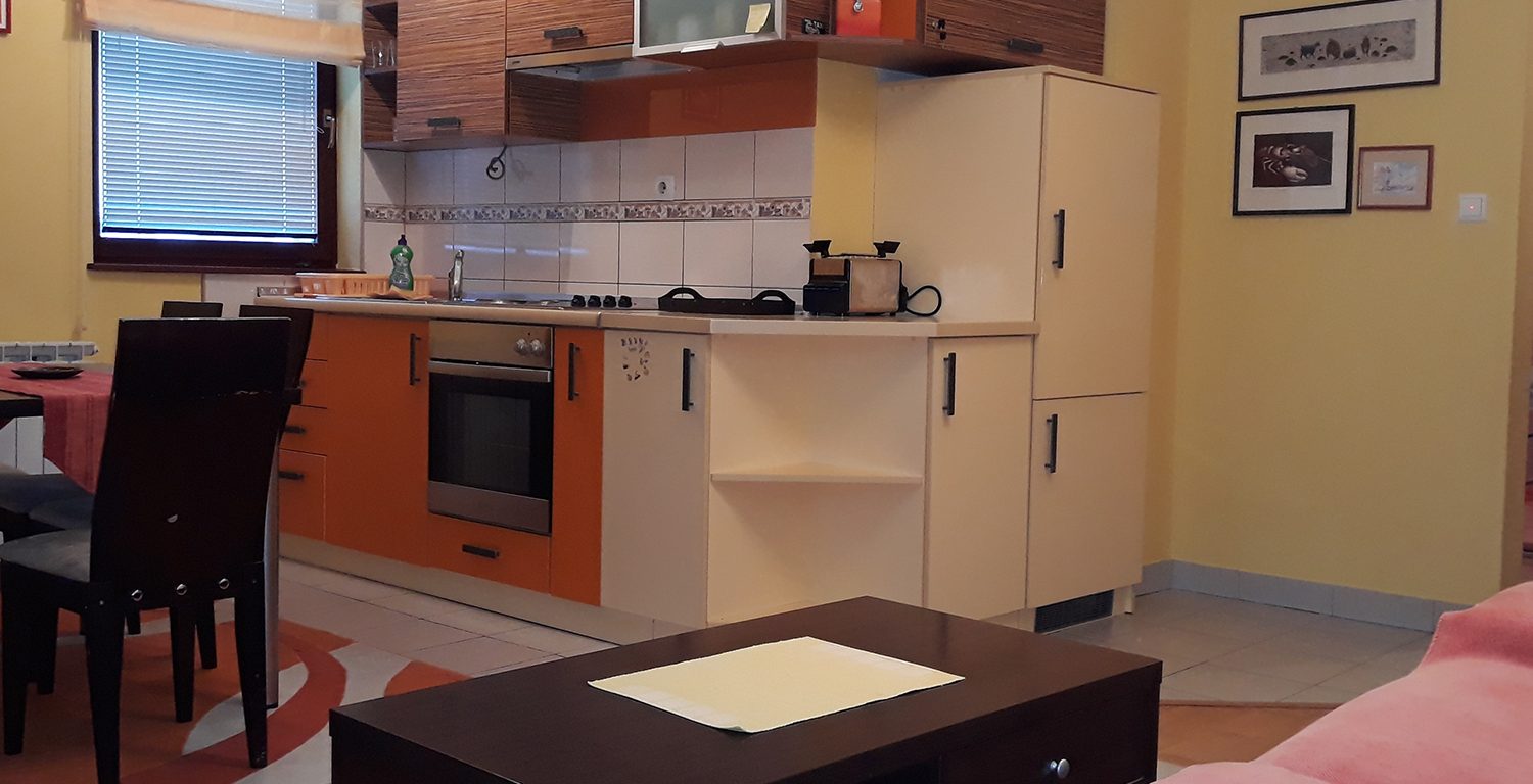 Apartman EXIT A1 Pale